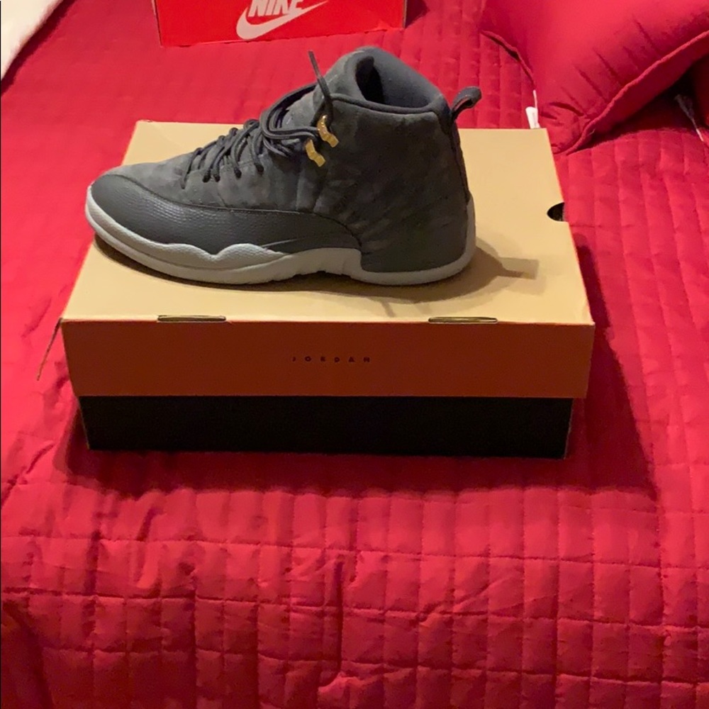Air Jordan 12 retro